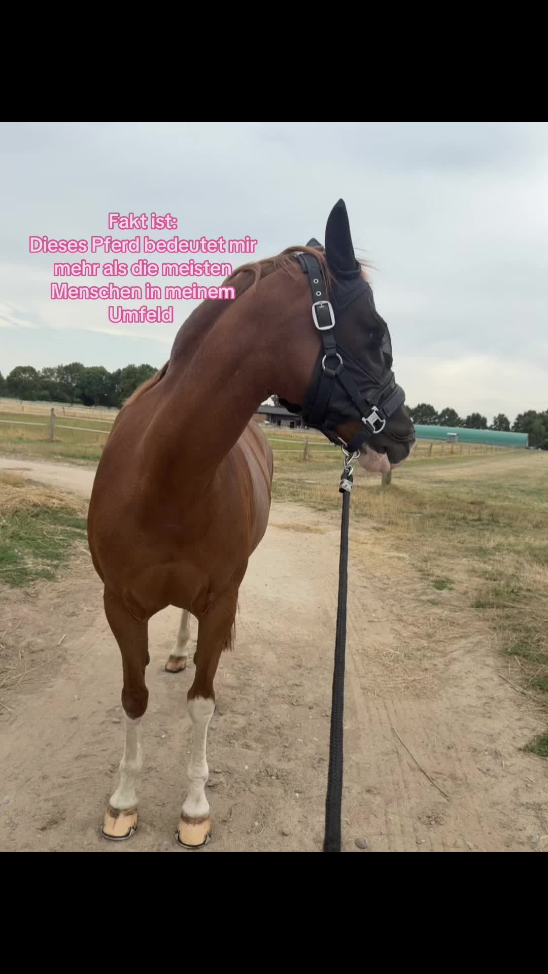 @isa.hz_11