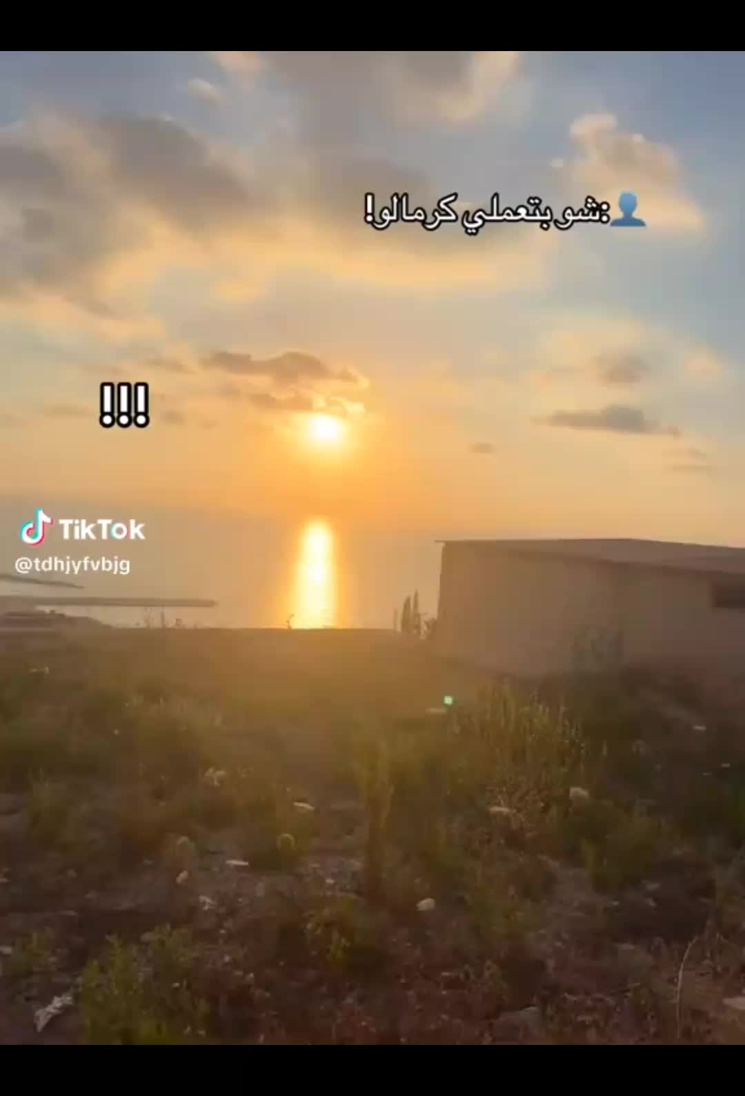 @ميلا الغريب🌺