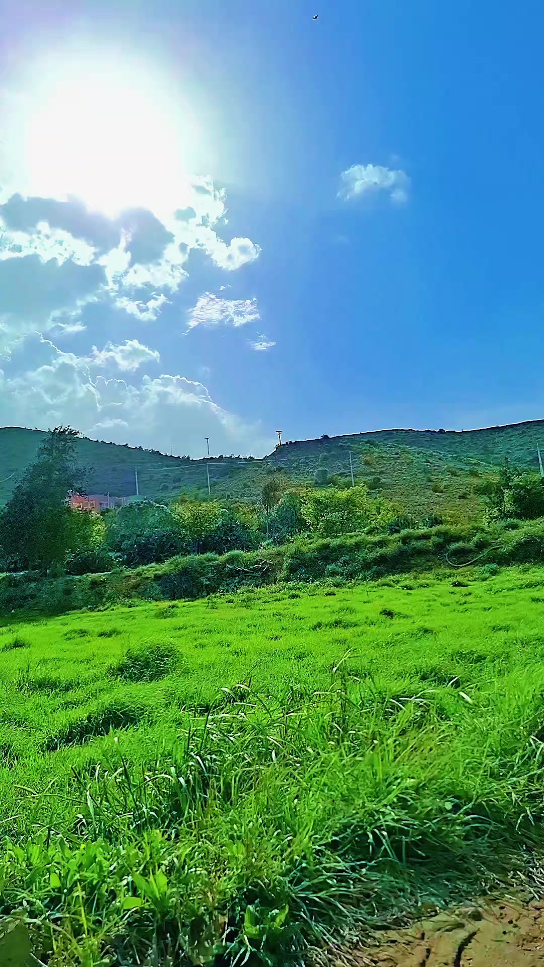@اسامہ خان 🍁