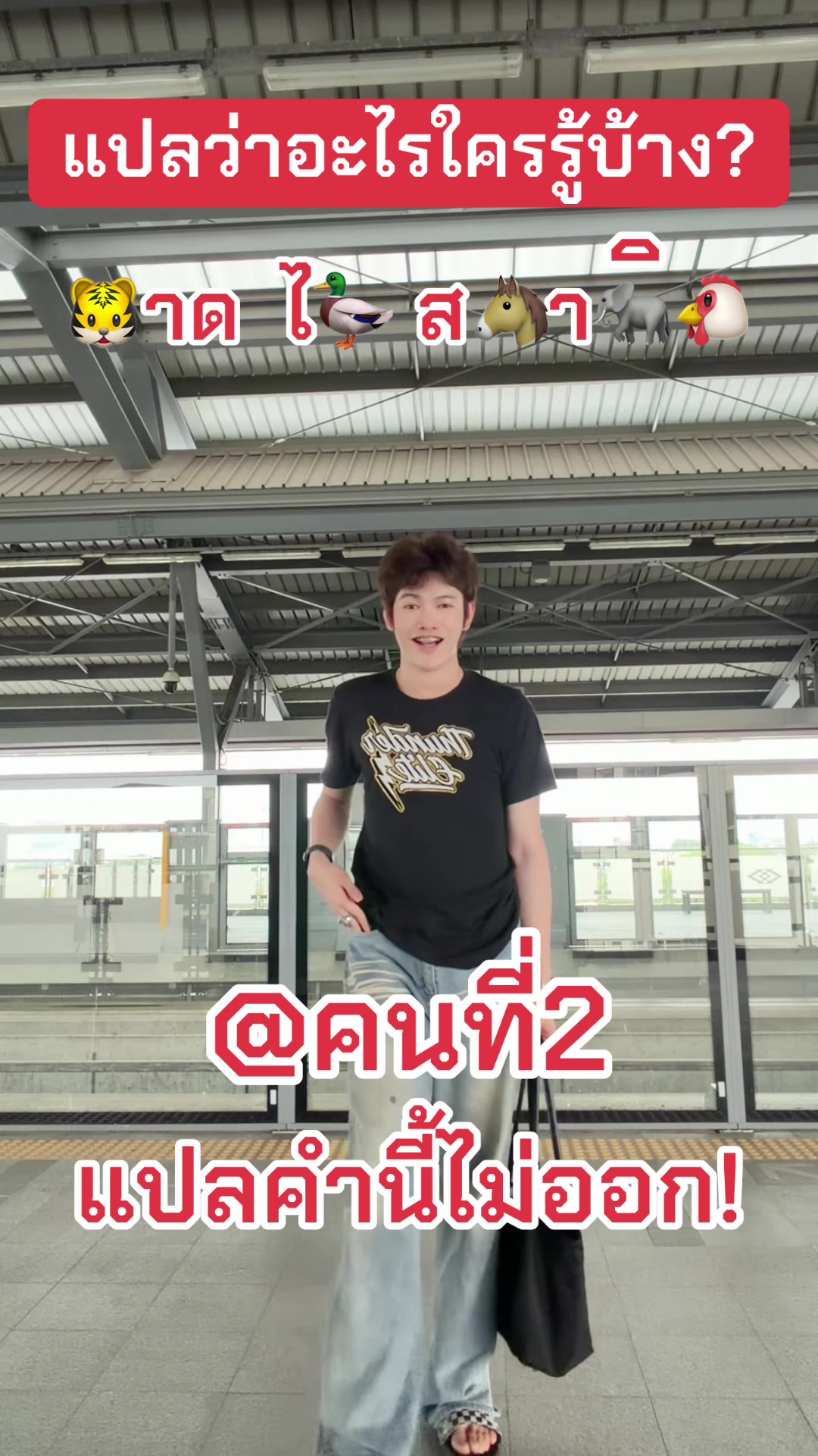 @✨แผ่นฟิล์ม✨