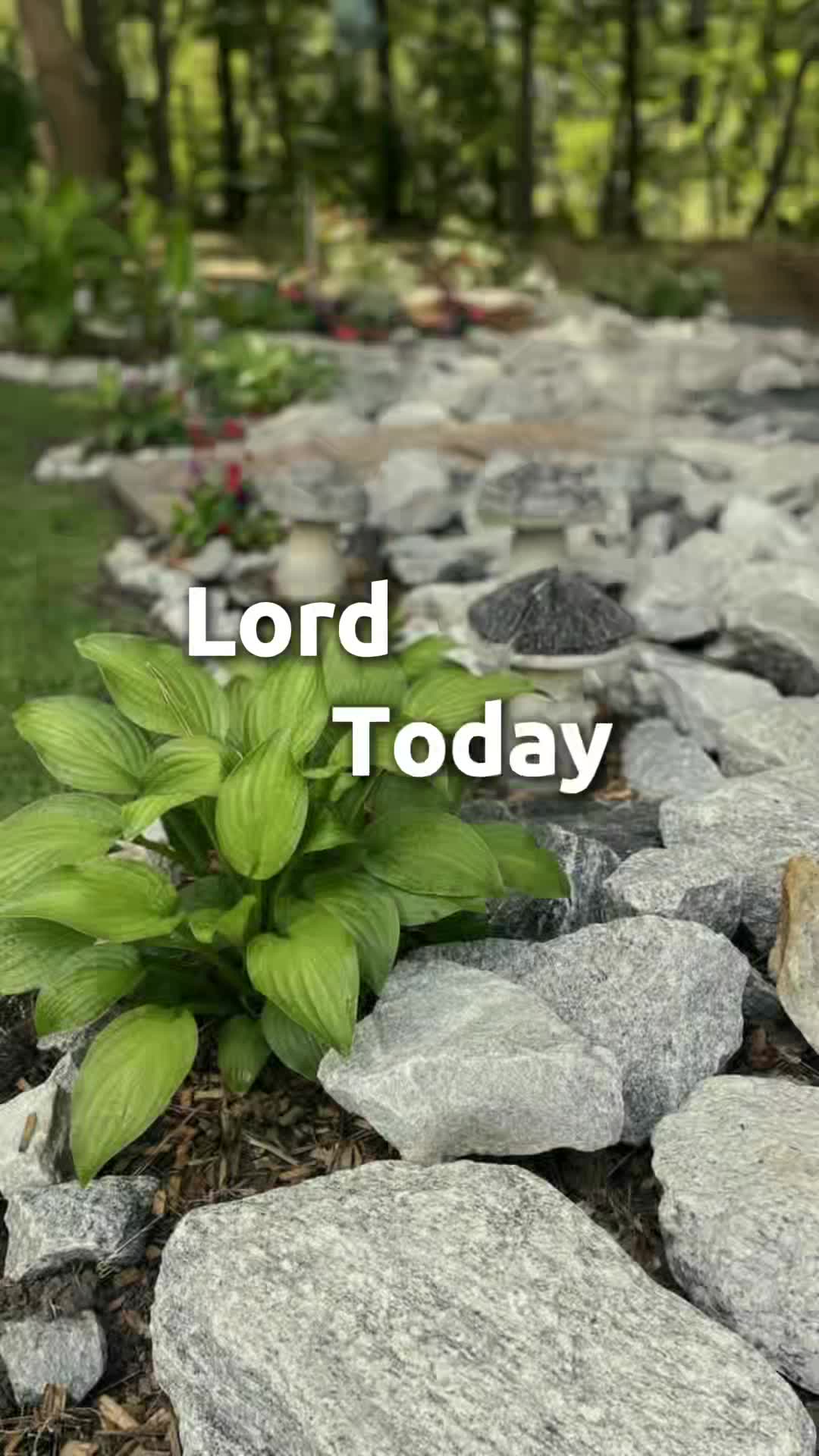 @Loribell