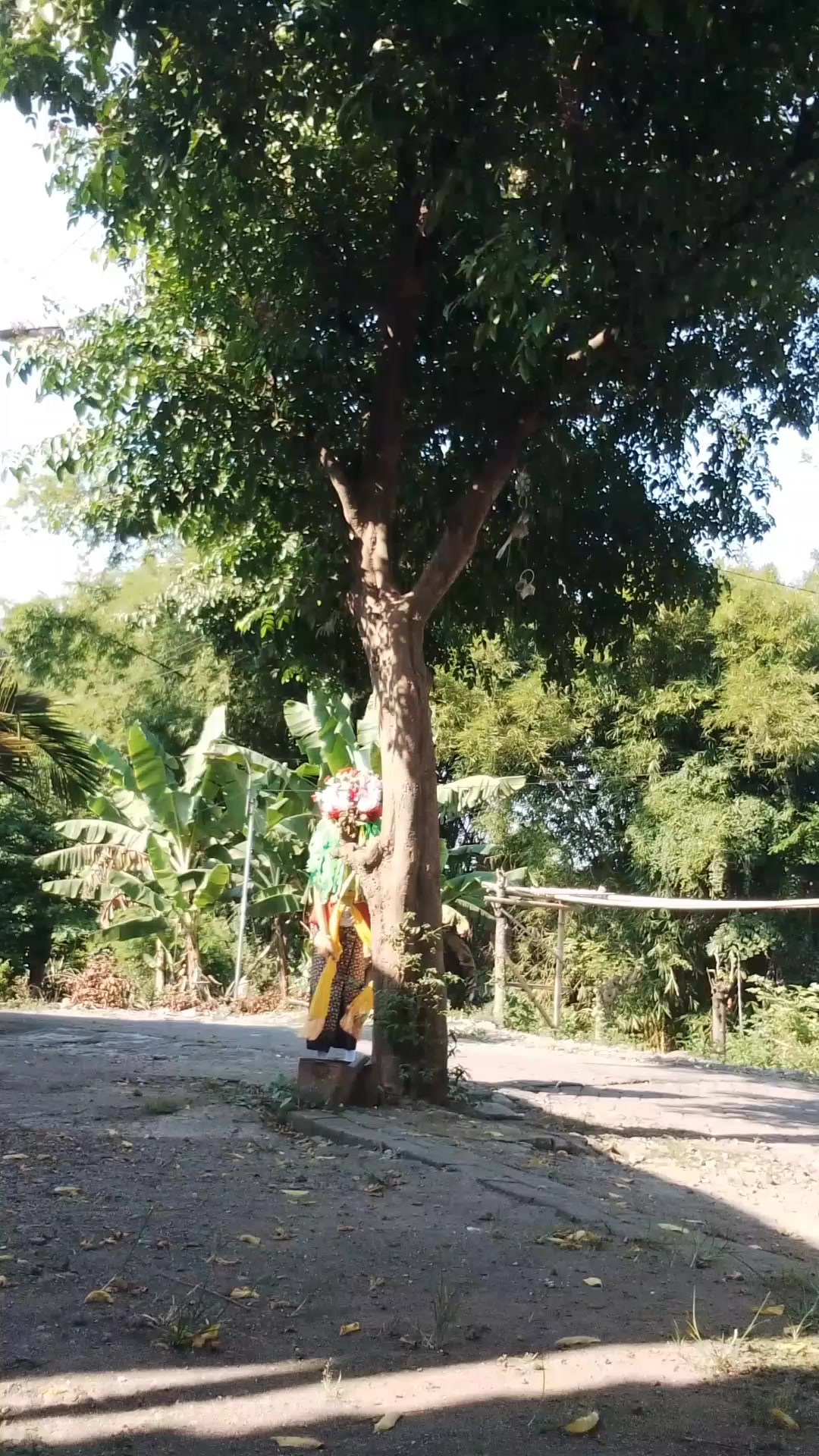 @plan3ttt_seblang✨🐛