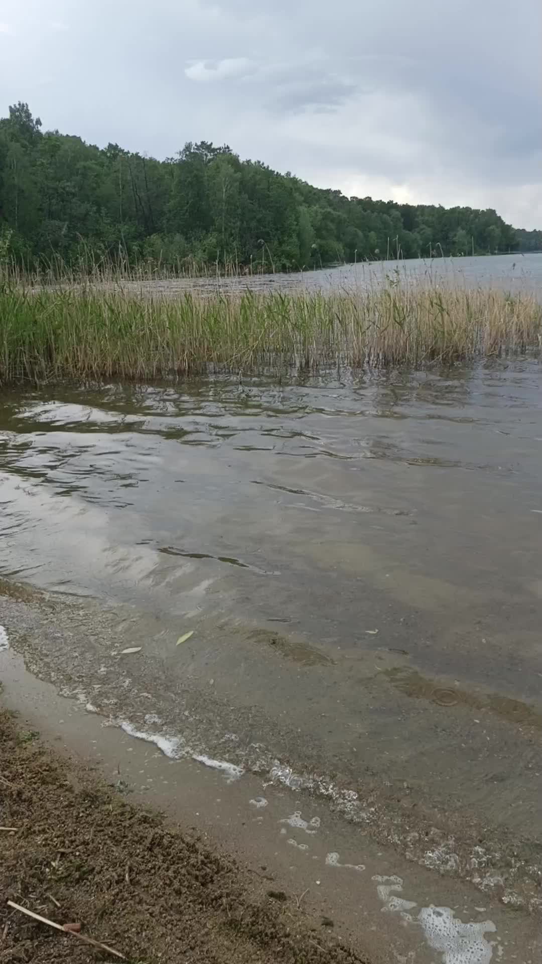 @Ольга