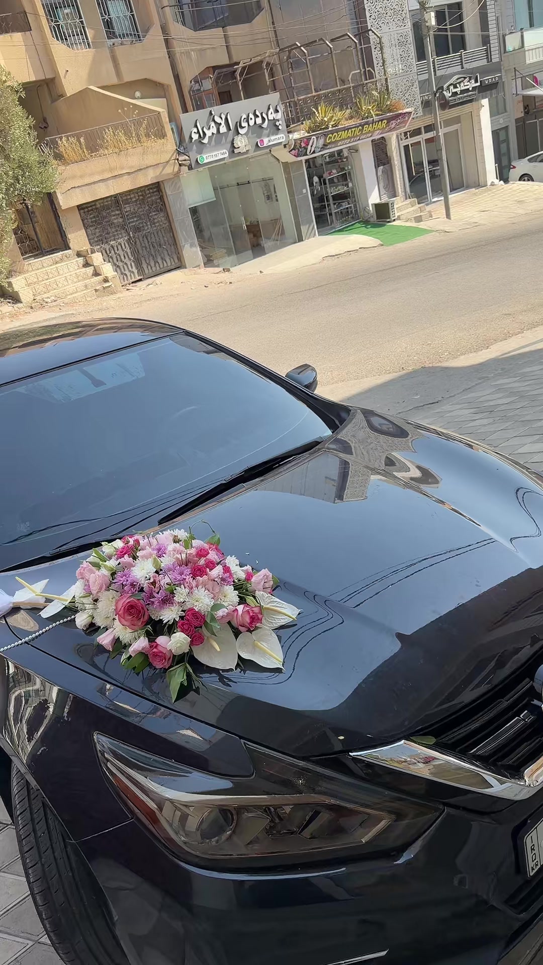 @🌷گـوڵـی سـروشـتـی لاولاو 🌷