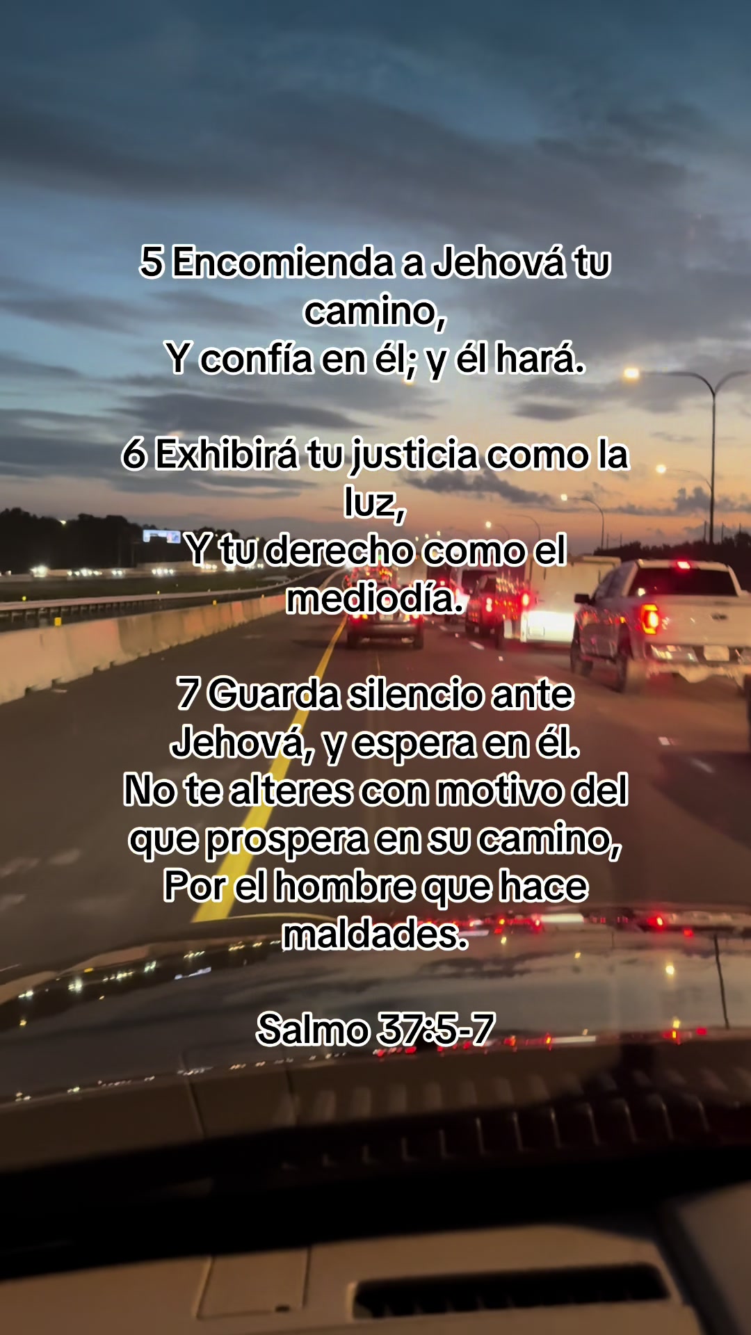 @avv0819