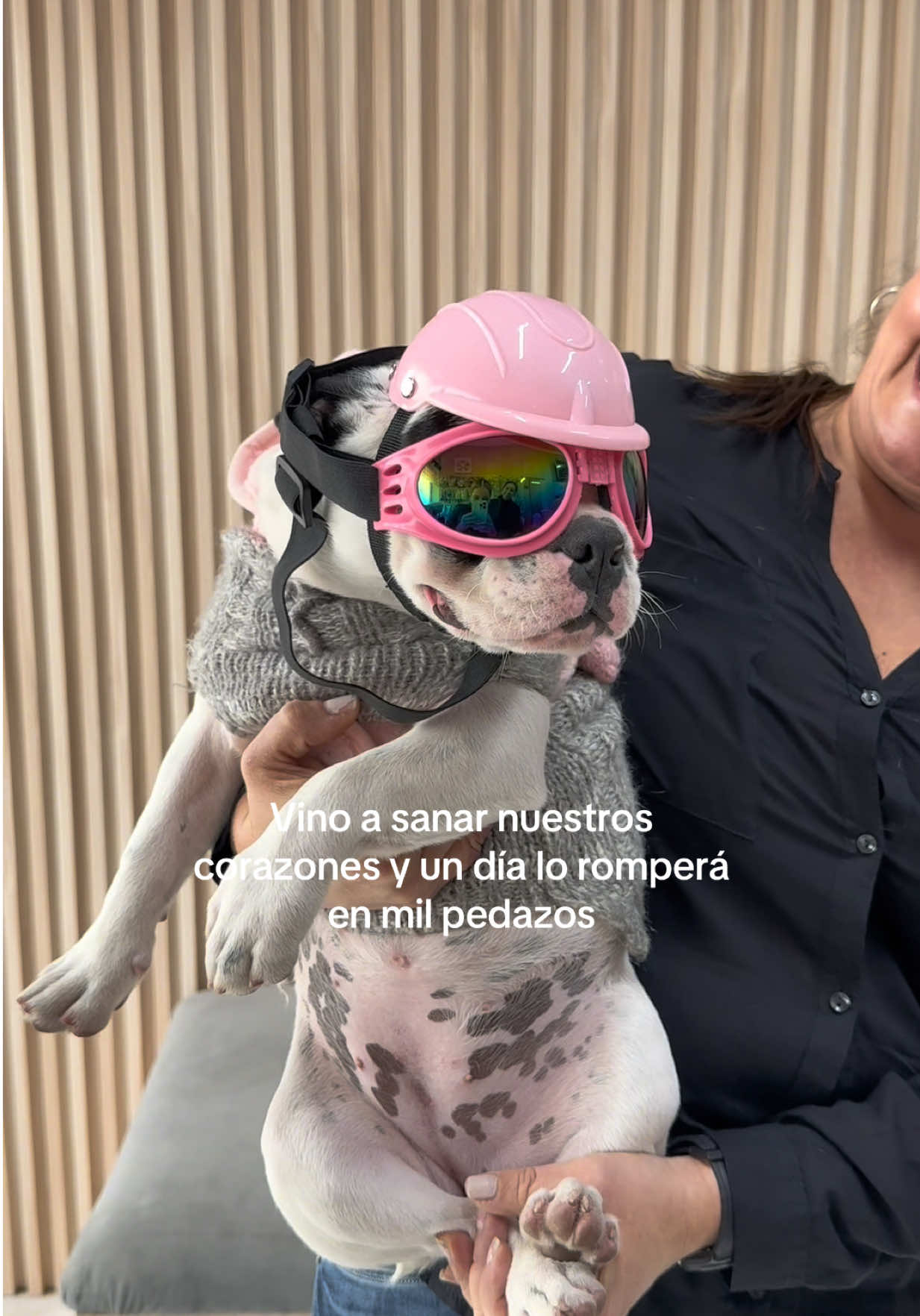 @Flavia Cuellar A&ntilde;ez