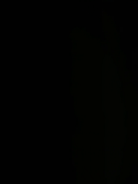 @𓆩𝙎𝘼𝘼𝘿𓆪