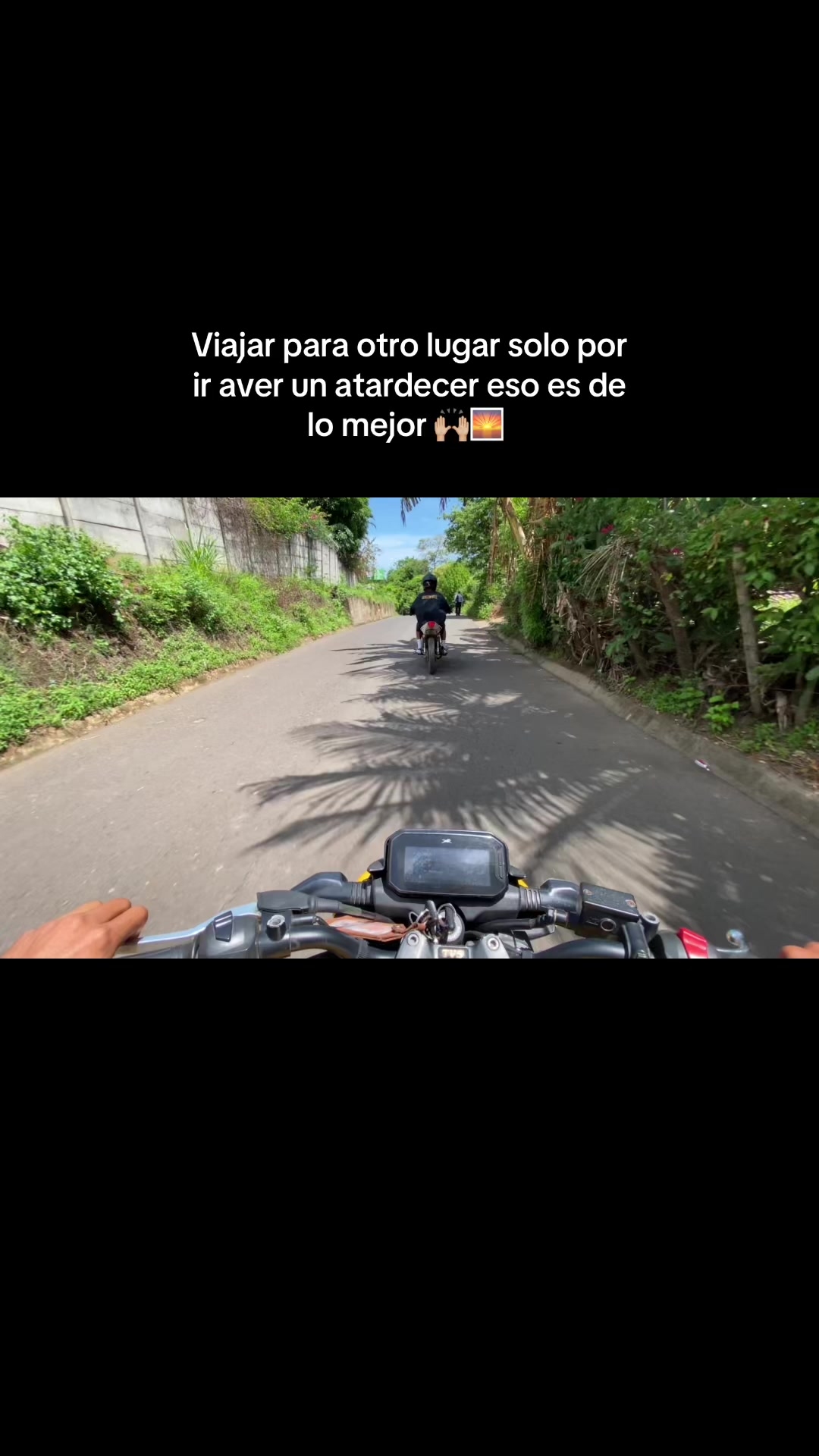@ sv.brixn_11