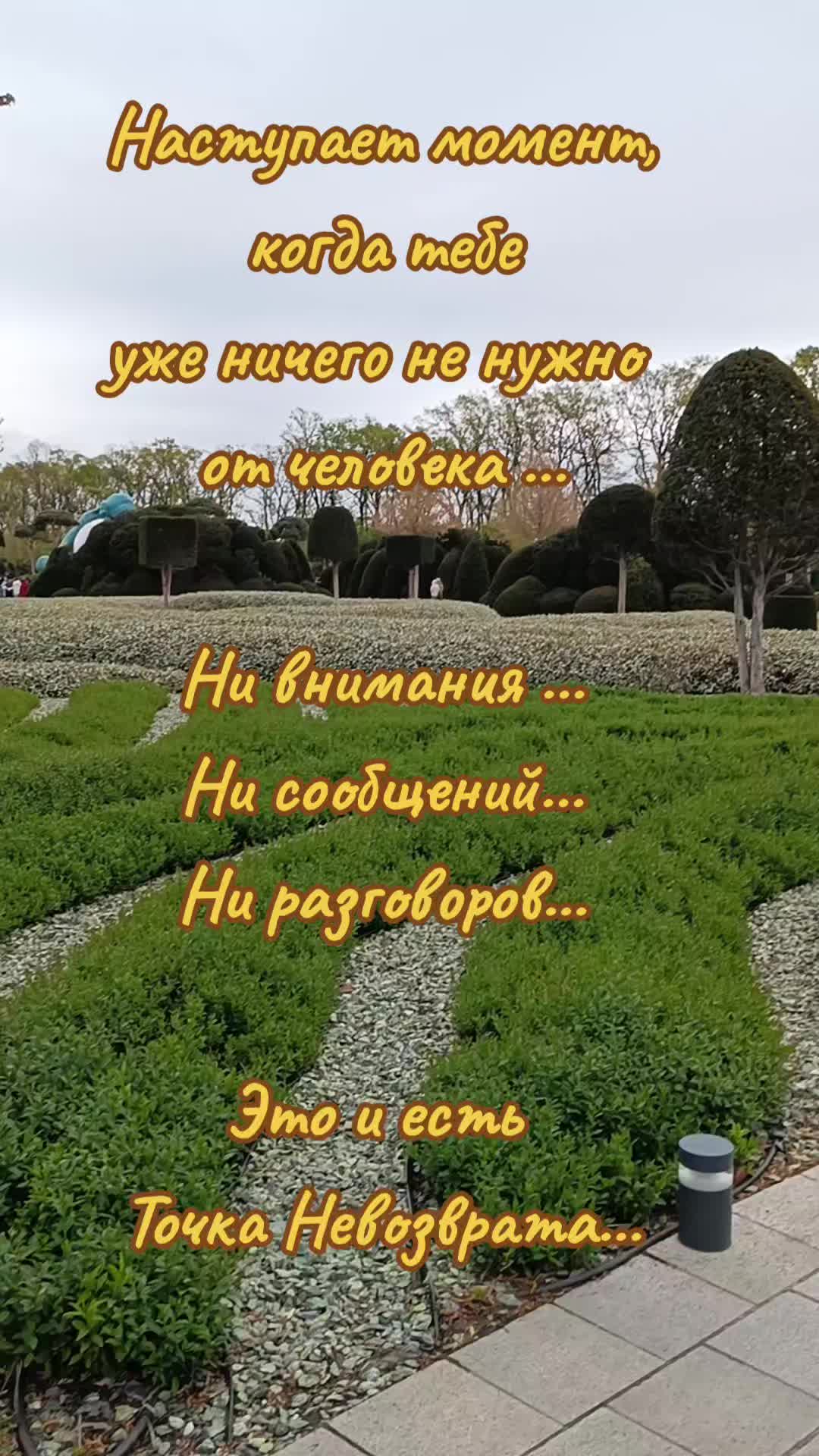 @yanozka