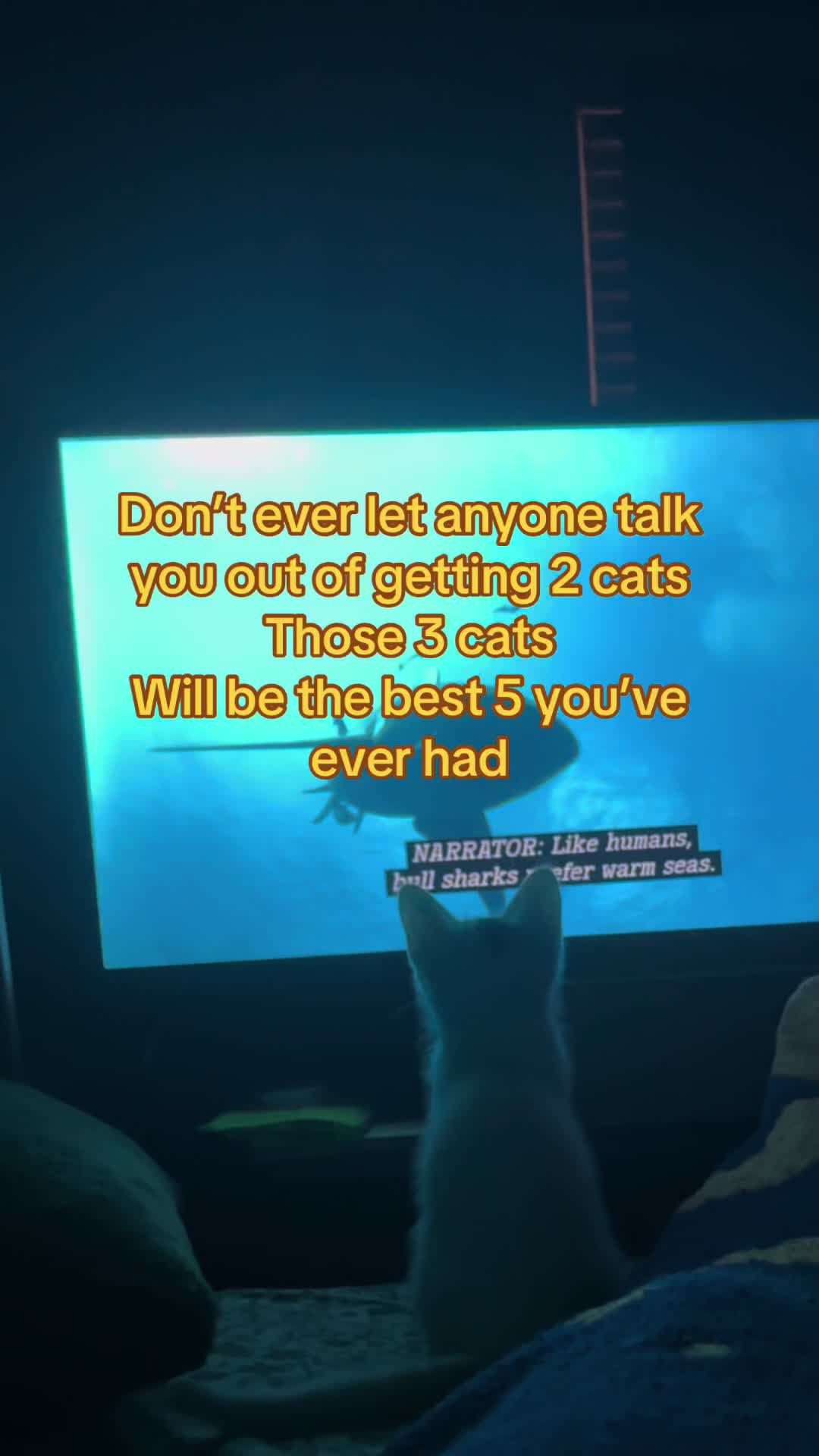 @🌛