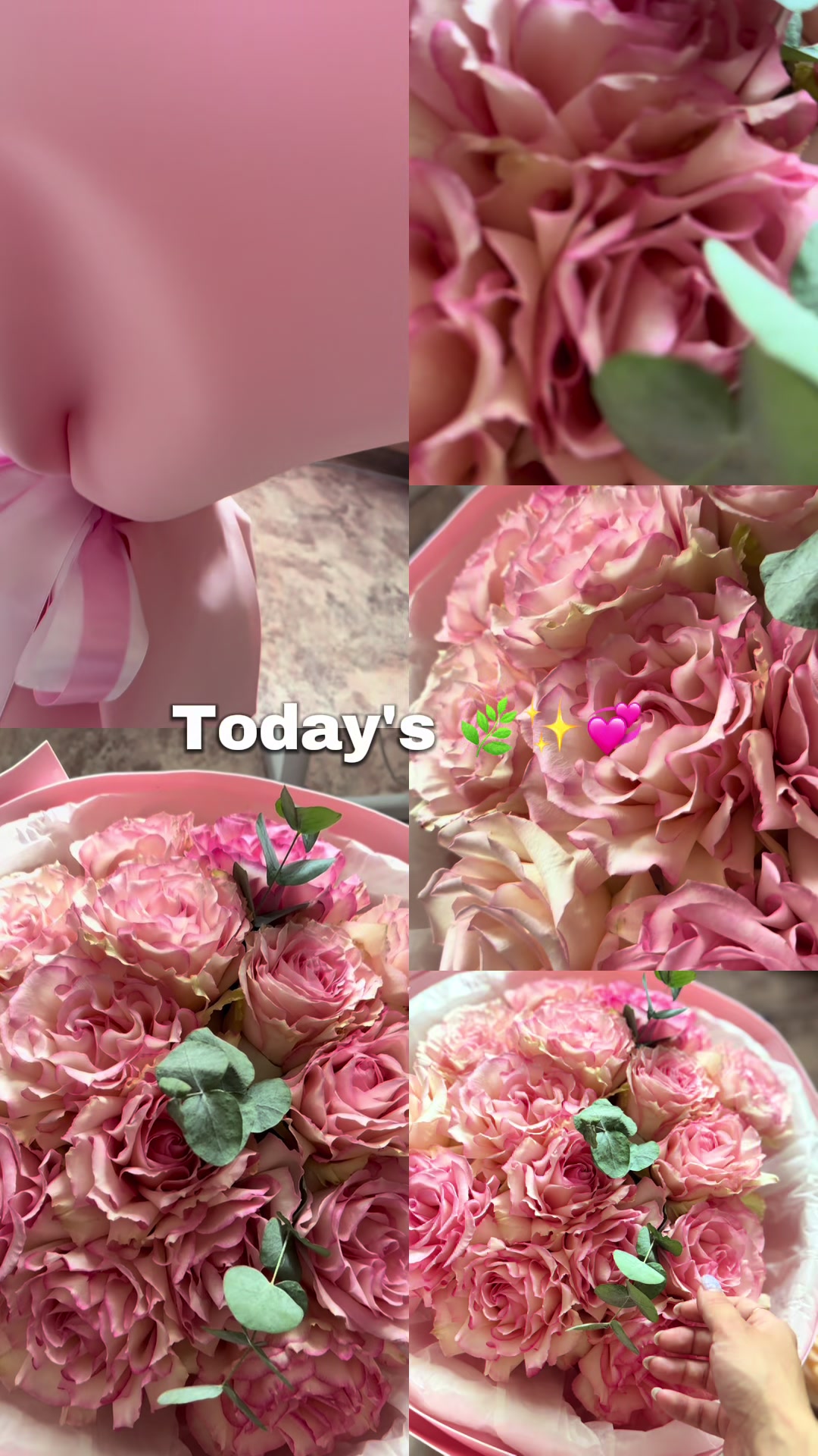 @Melkaya radost’🌸
