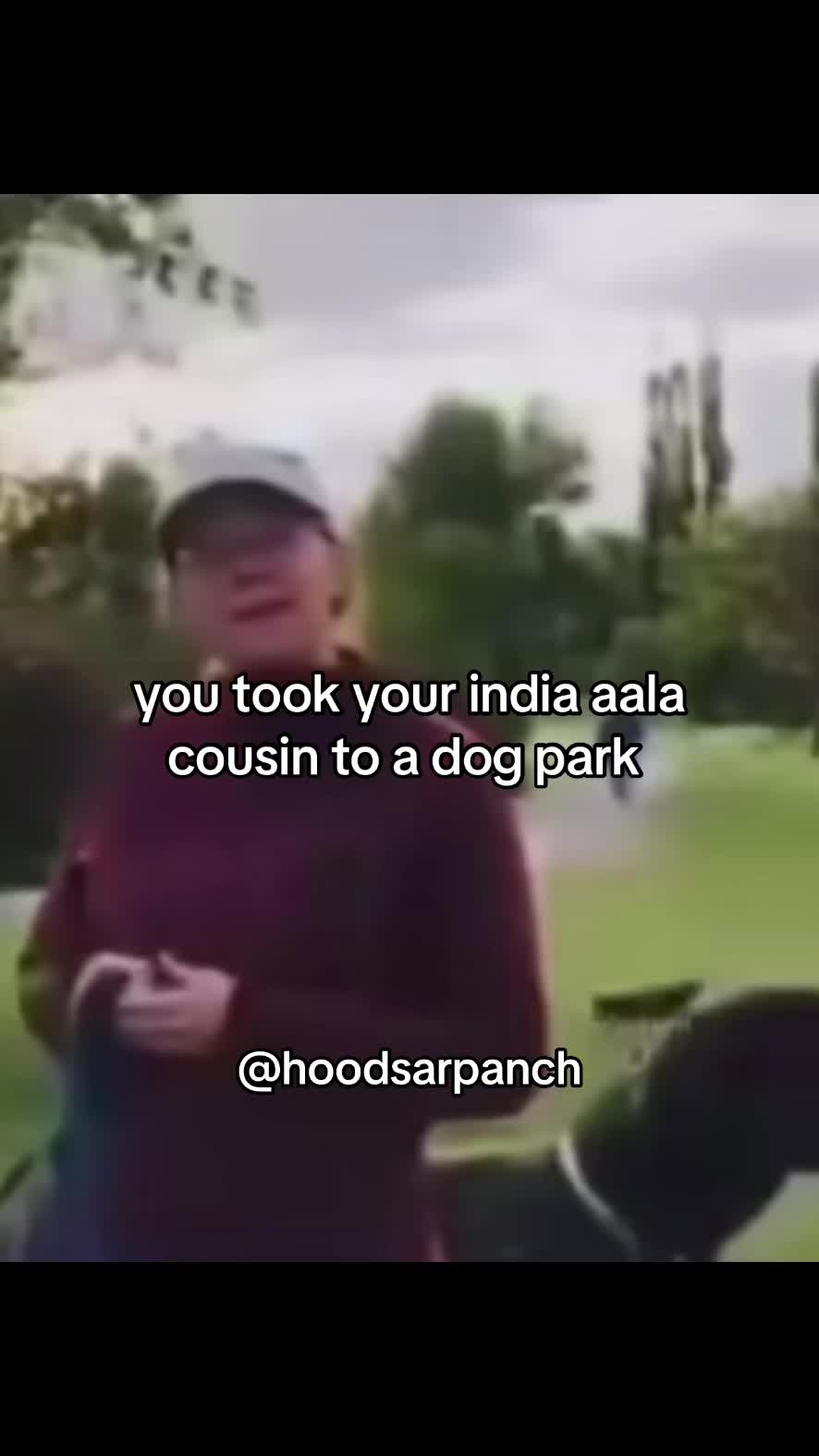 @sarpanch 🤺