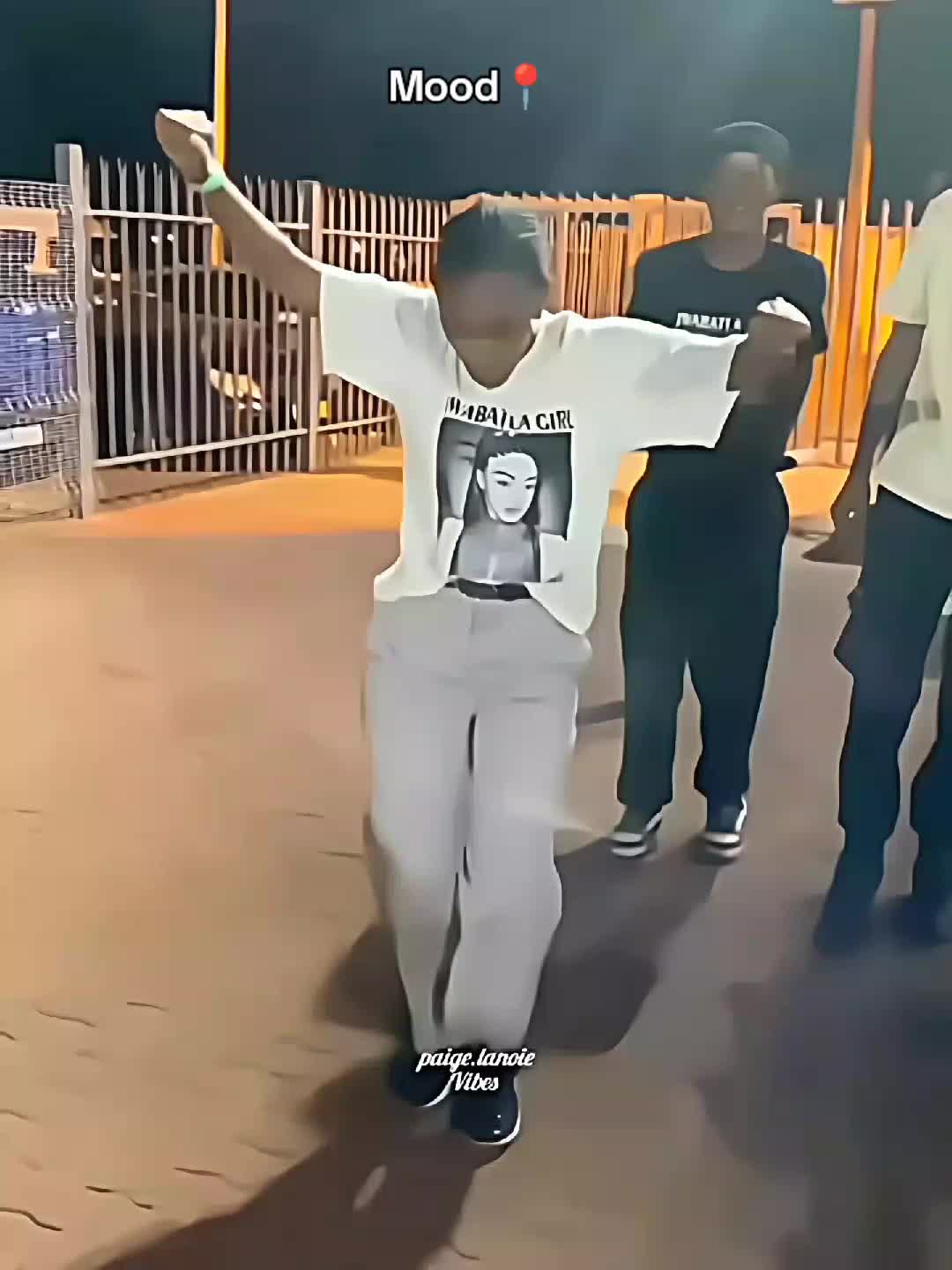 @paigelanoievibes