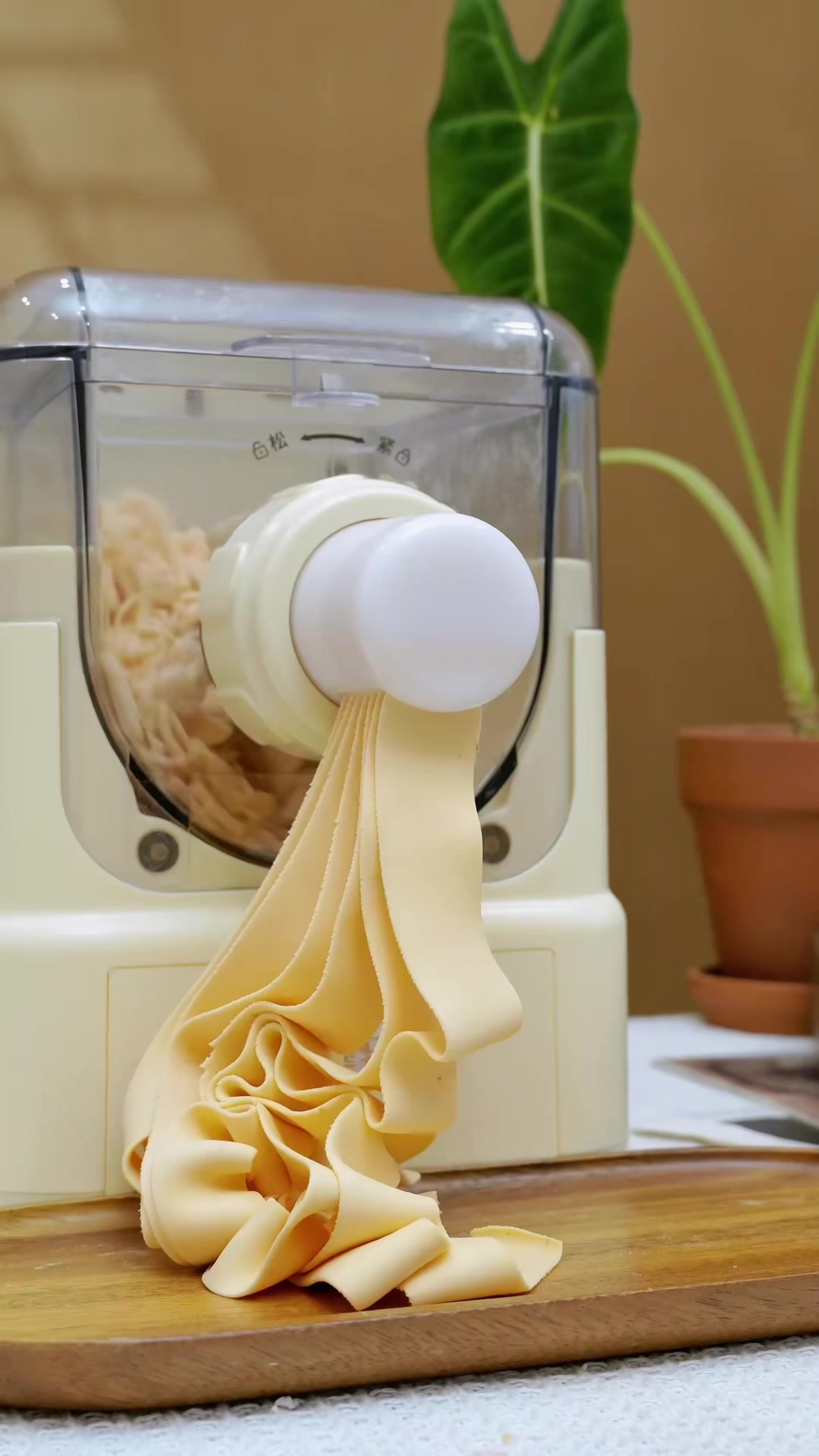 @Pasta maker factory
