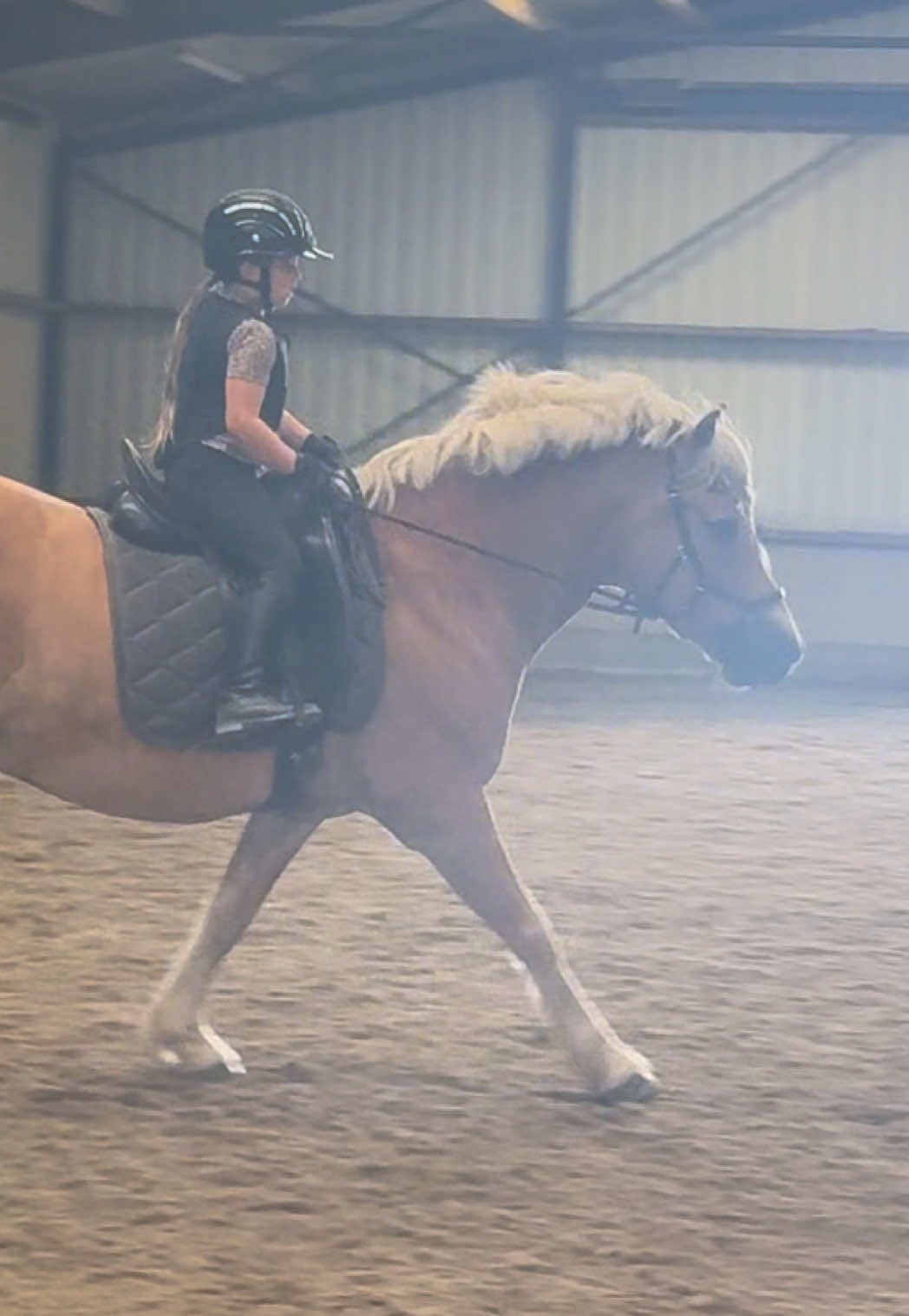 @Young Rider Journey🐴