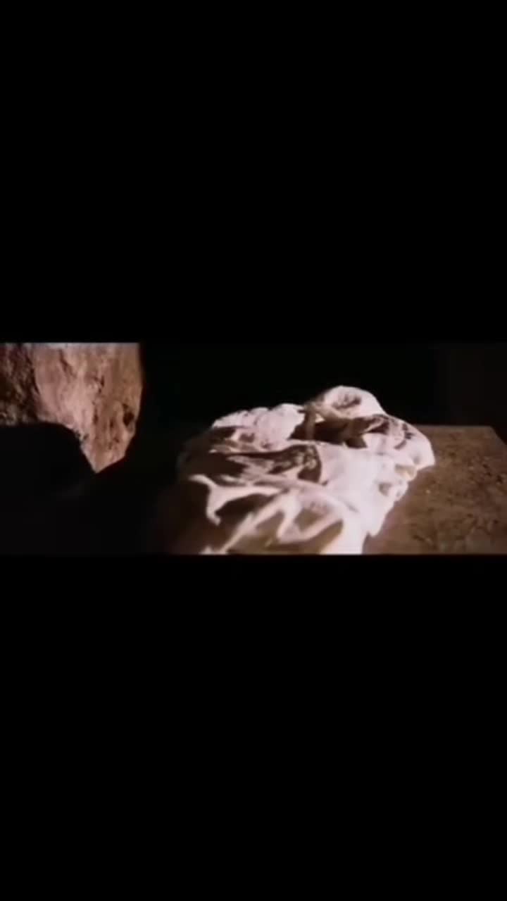 @โ๐๐๐๐โ