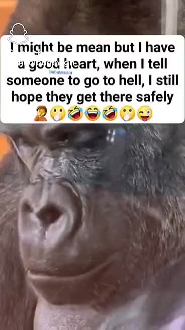 @howard davenport jr