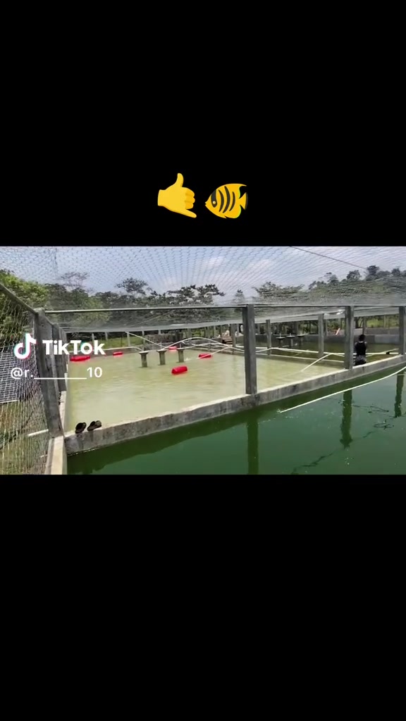 @Dora 123@