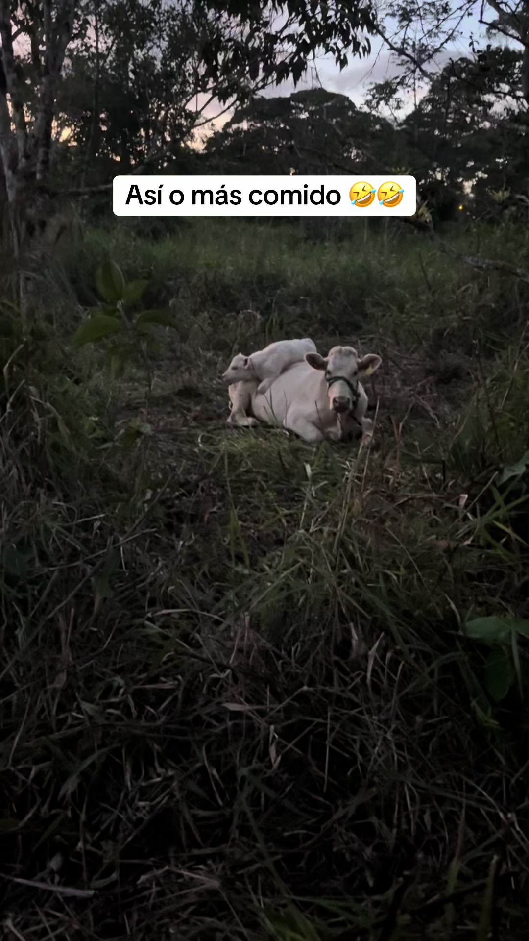 @Hern&aacute;n Andres