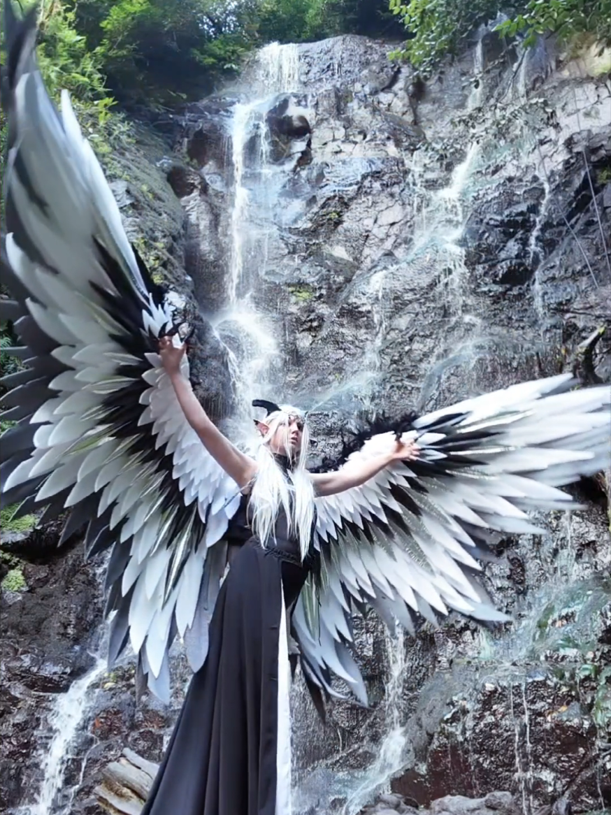 @Angels_PawPrint