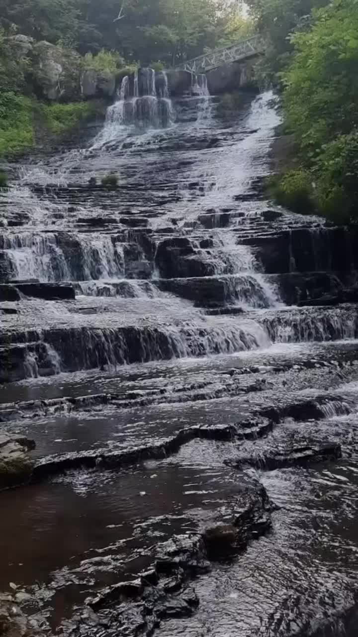 @Meli