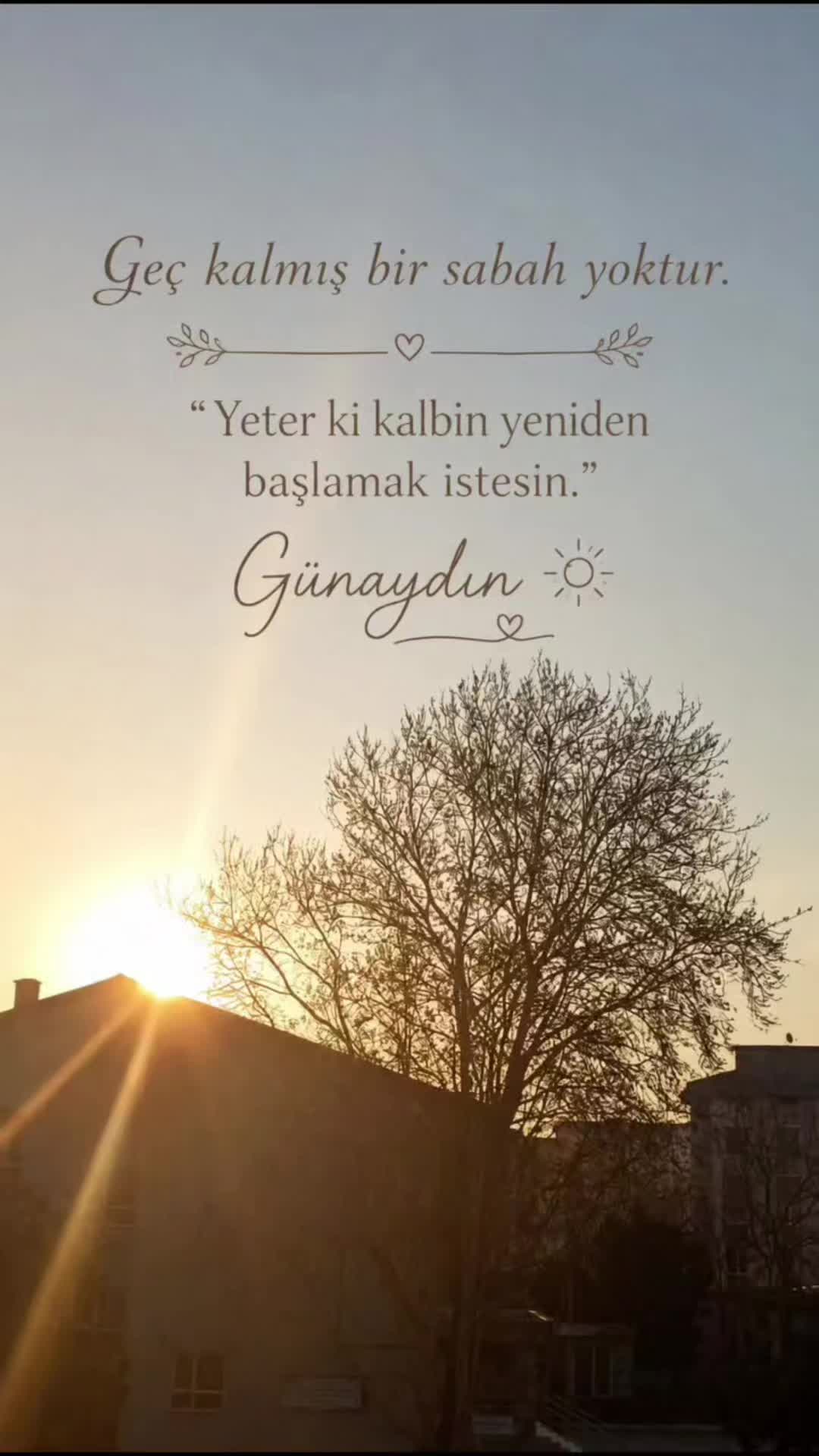 @ayse48