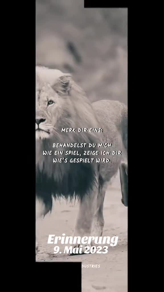 @🦊Rotfüchsin🦊