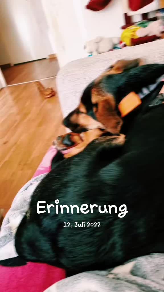 @Freiwildmama20
