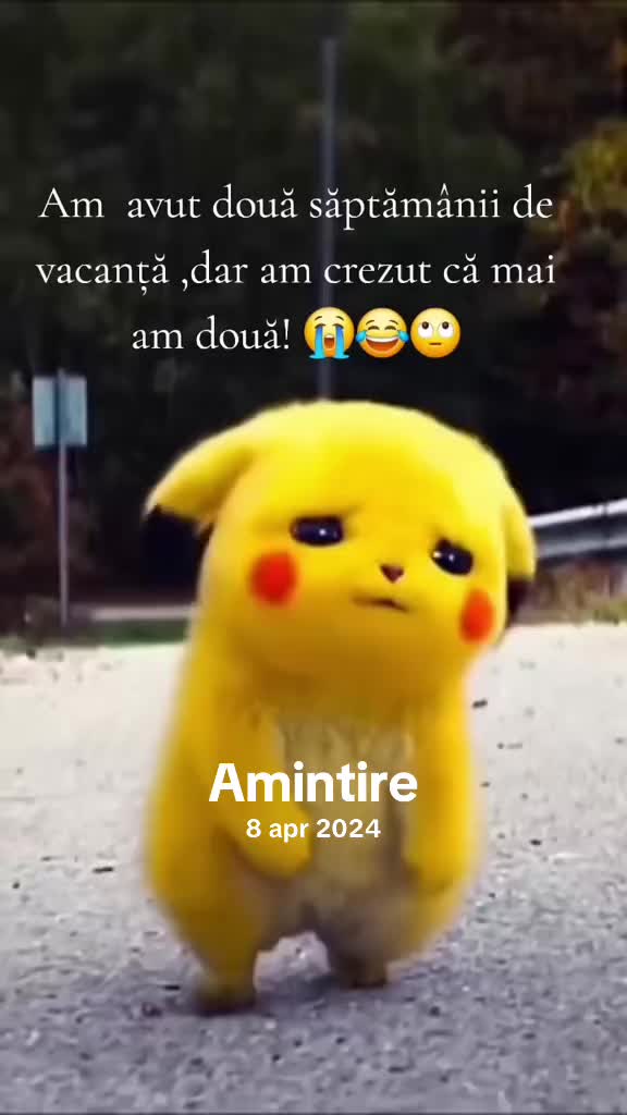 @Erica maftei 🤟🧸👑