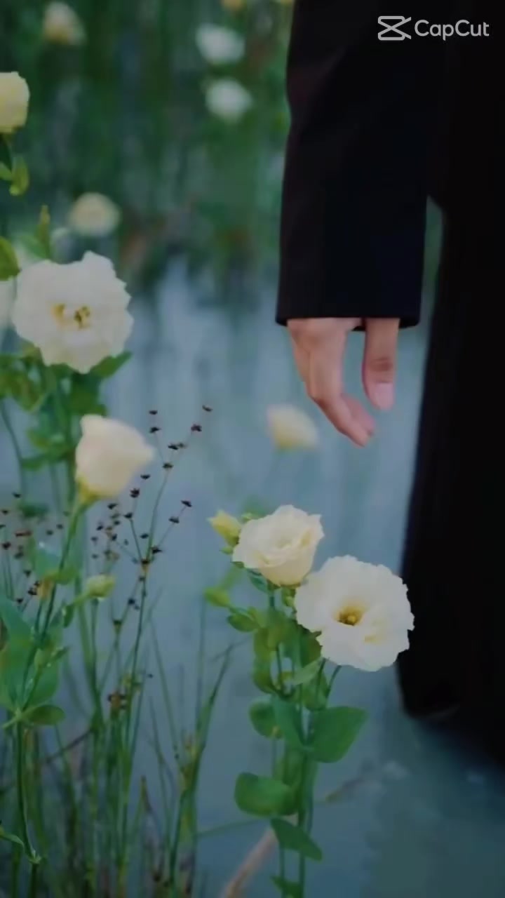 @R🦋🦋🦋