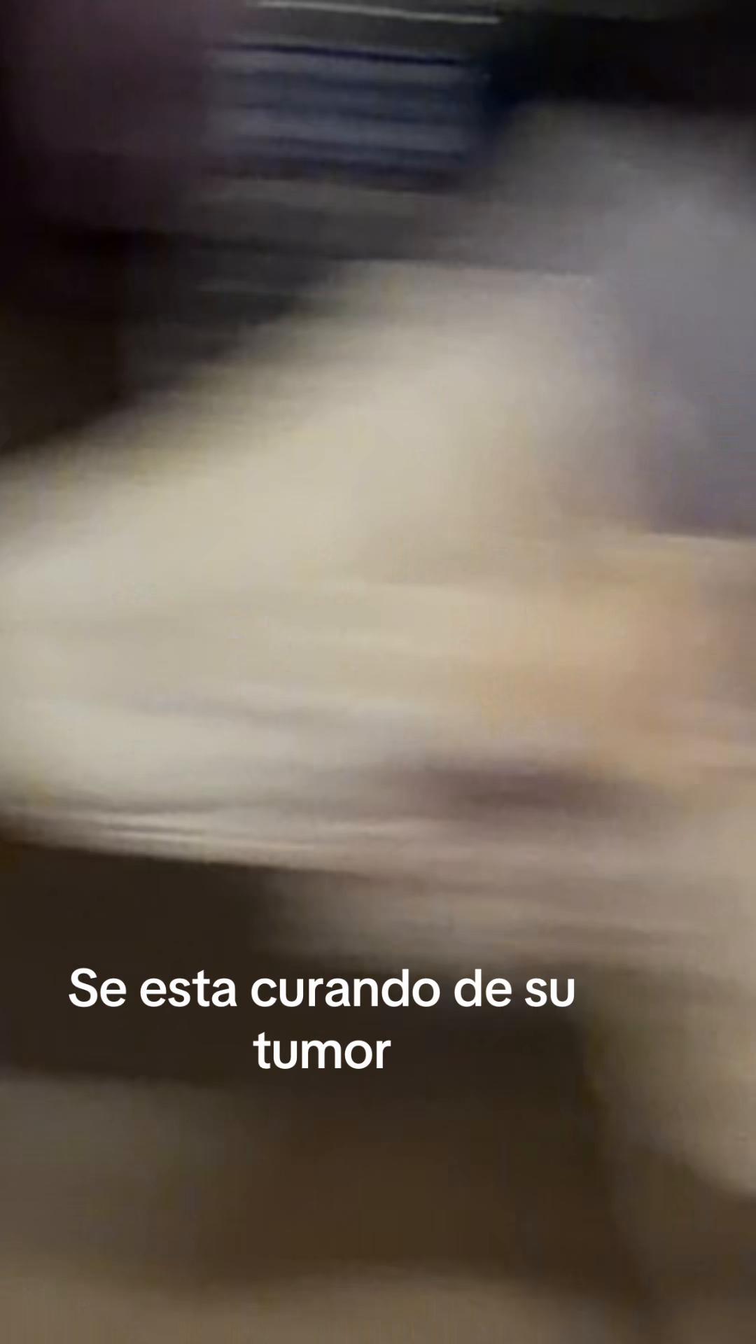 @Gabriel #ense&ntilde;asa