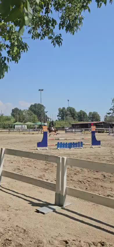 @Marco Maione