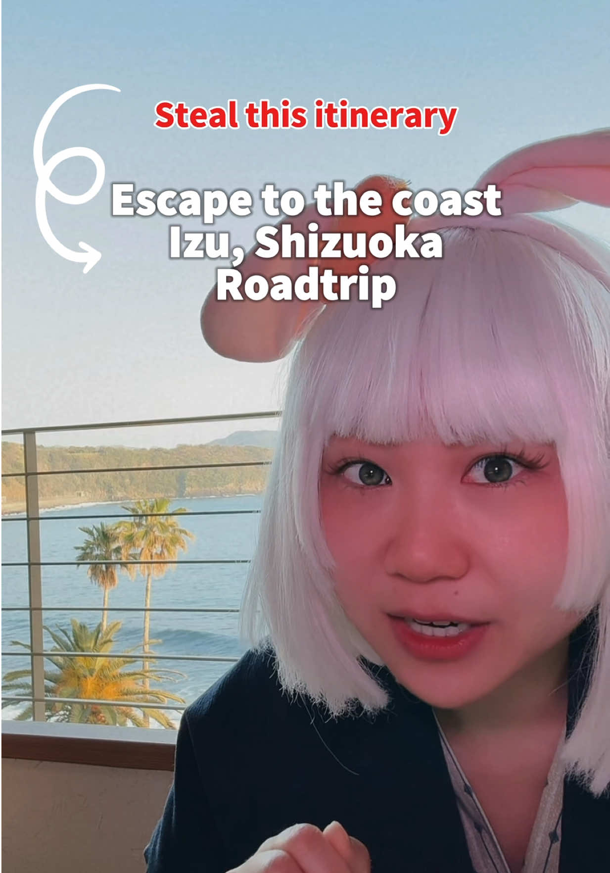 @Cyber Bunny