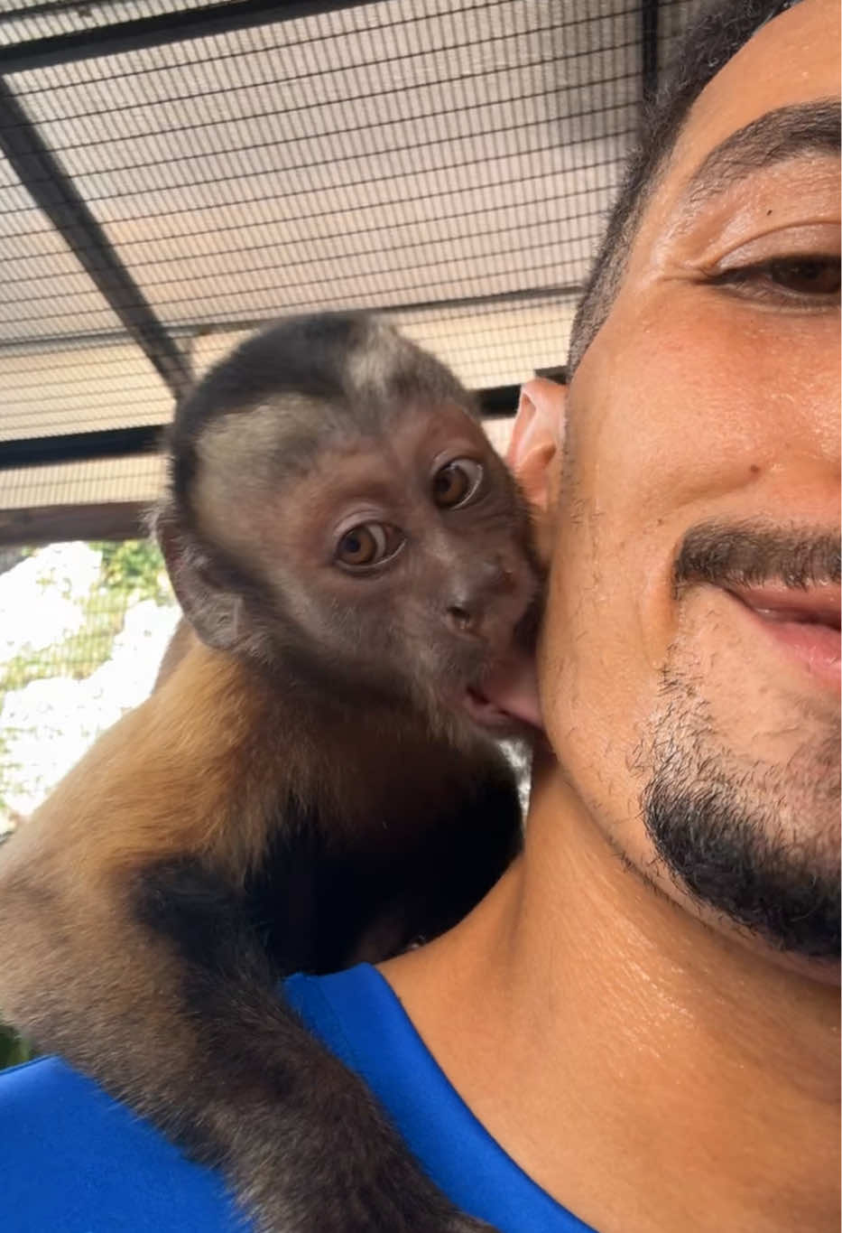 @Tarzane 🦍