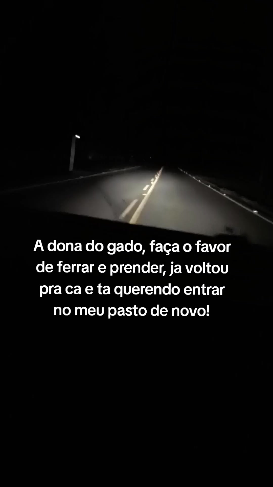 @Bruna Moraes