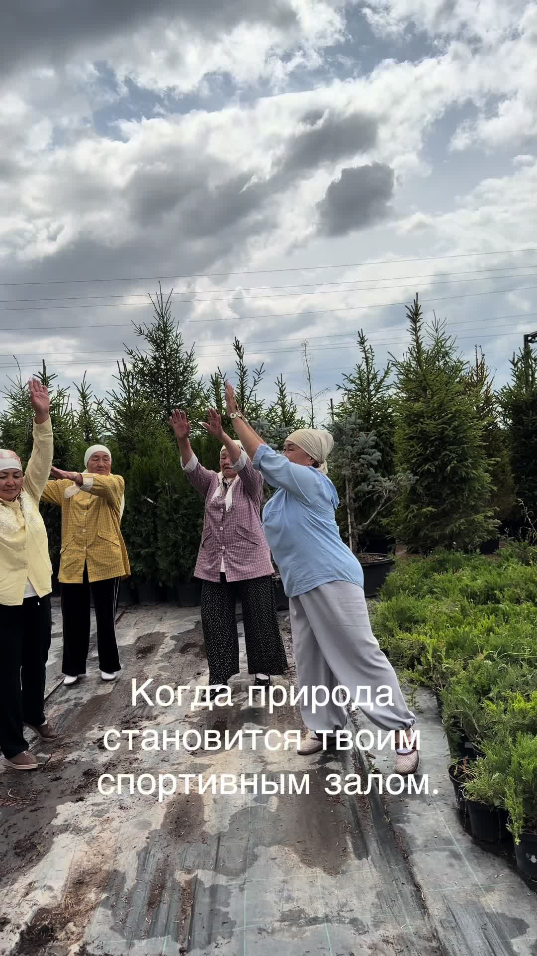 @Tamara Tiktok