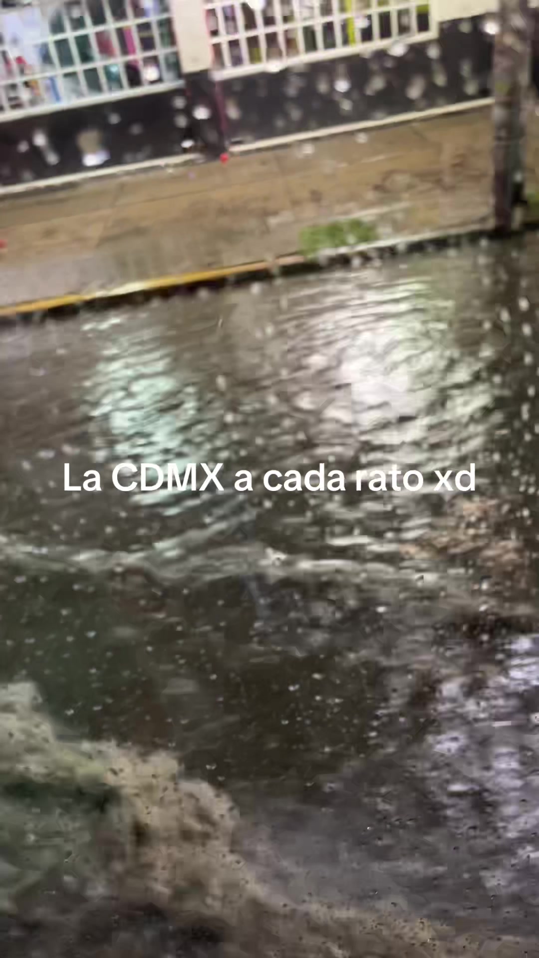 @(Brenda's versión)
