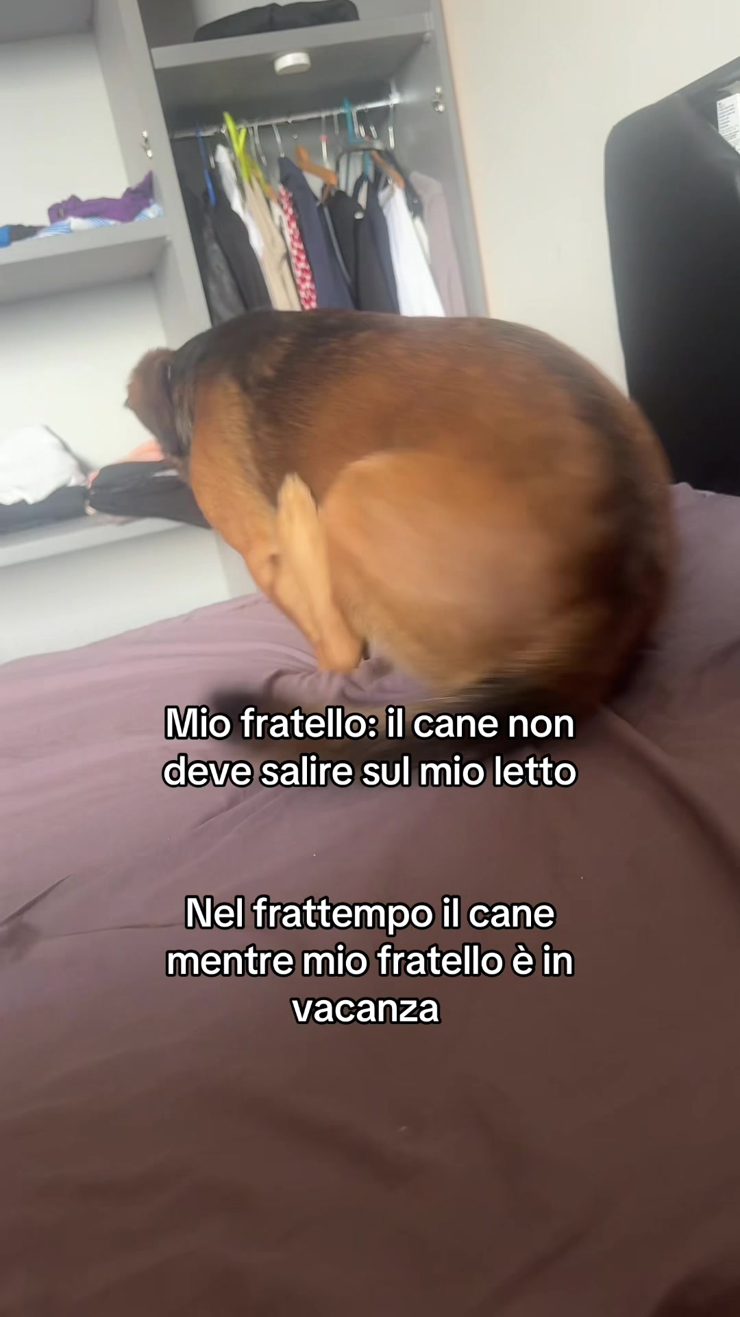 @Germana🌹