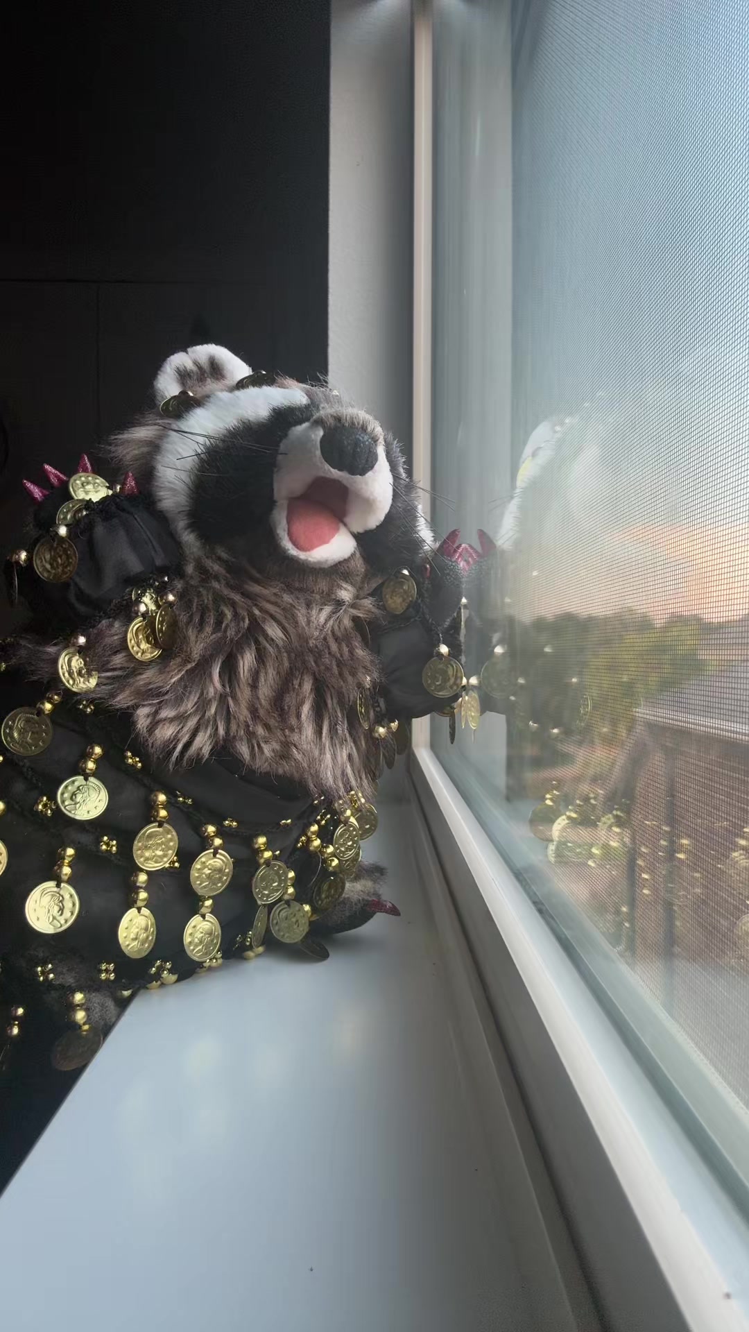 @Cookie 🍪 🦝