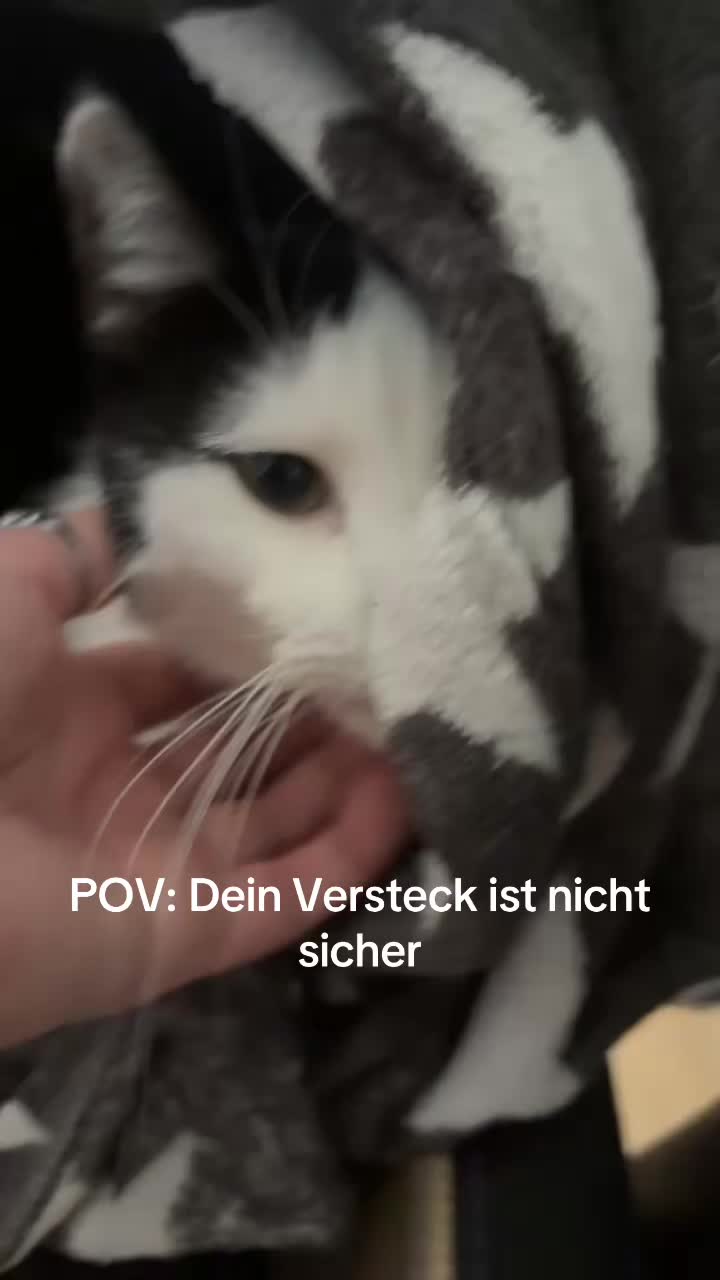 @yazemeen