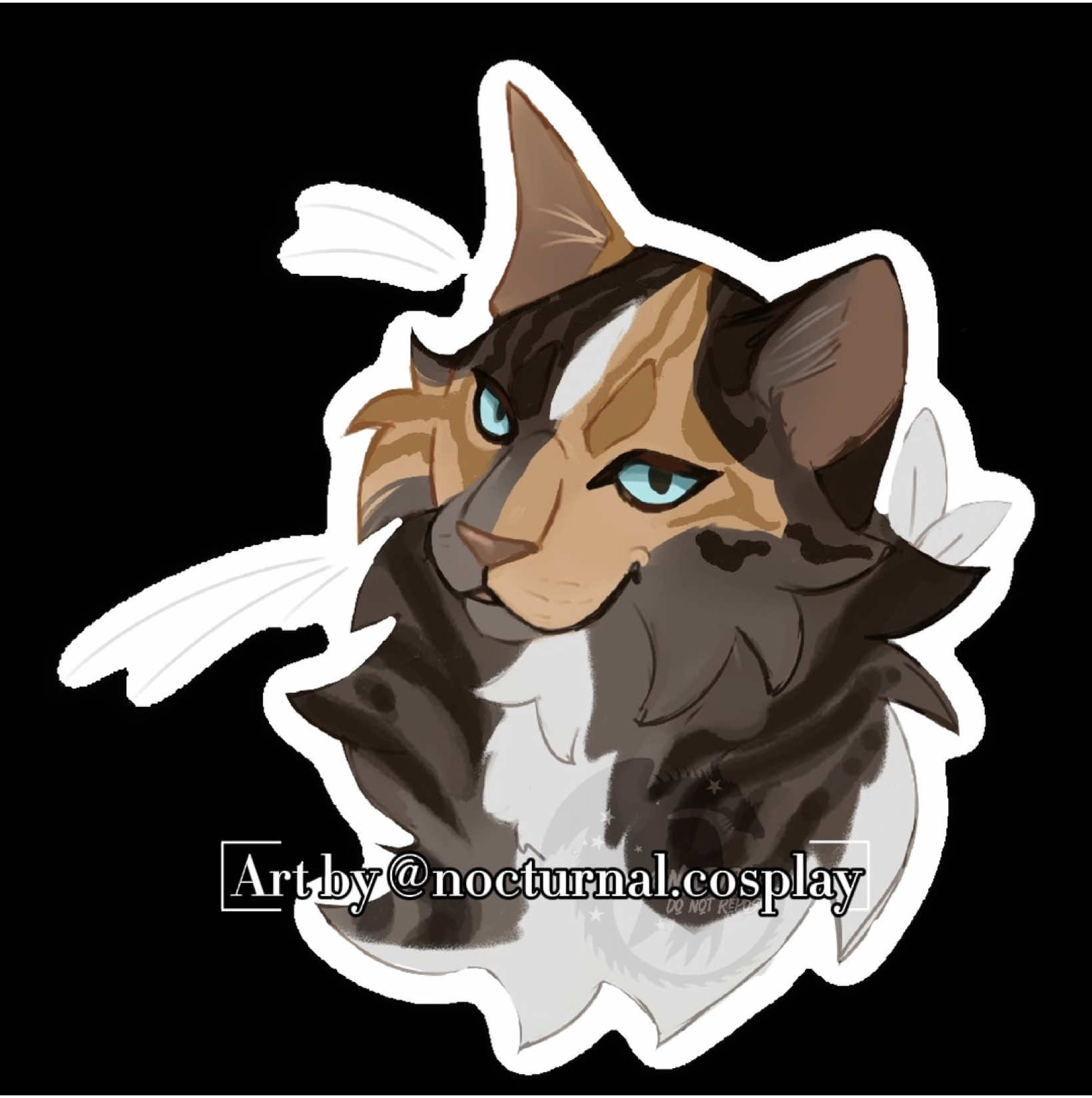 @nocturnal || comms open