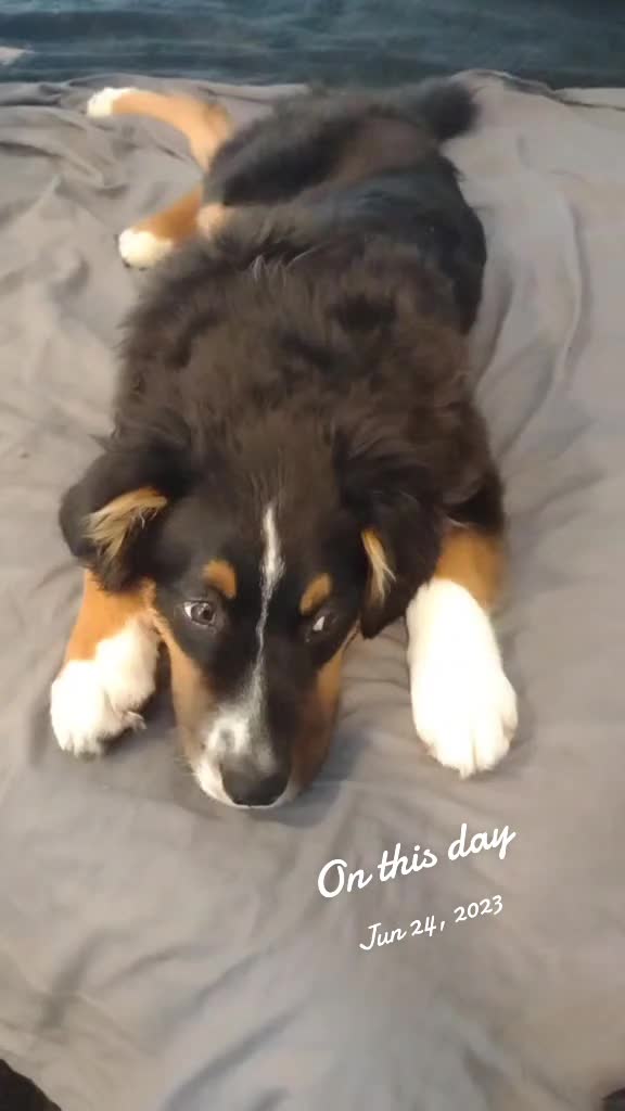 @Team Ollie and Colby Jack