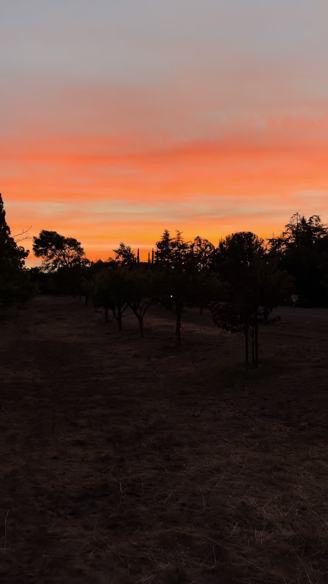 @UB.paul