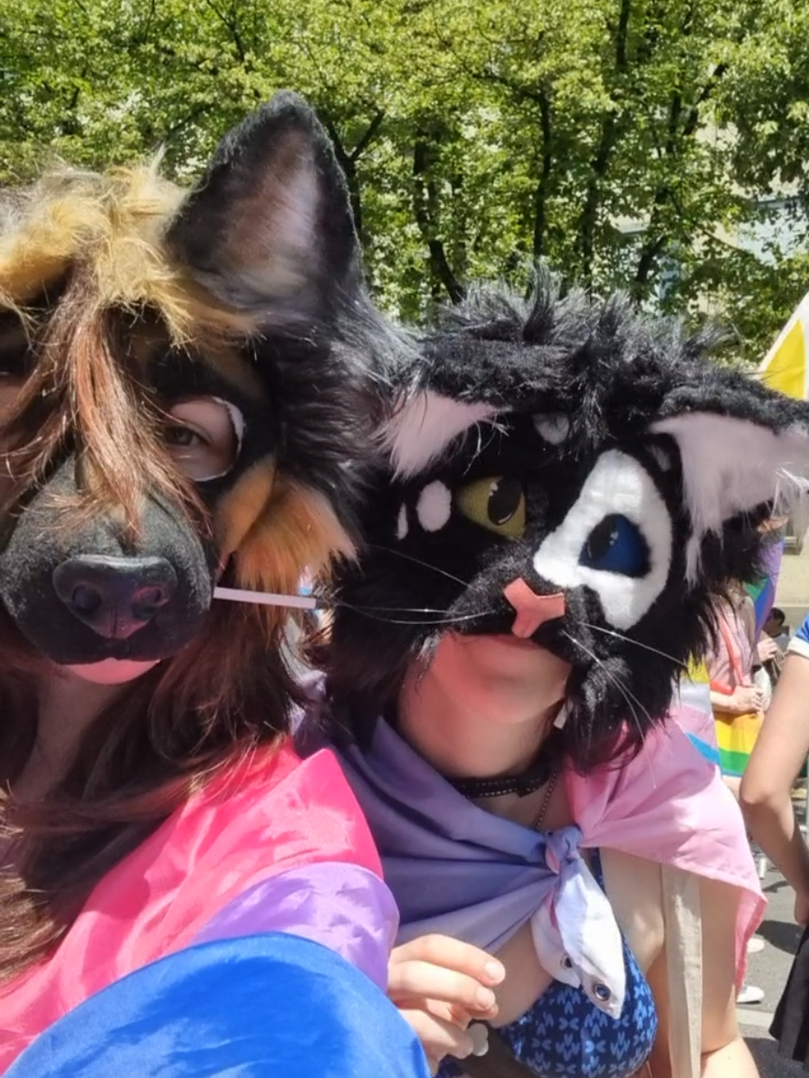 @☆sillydog☆