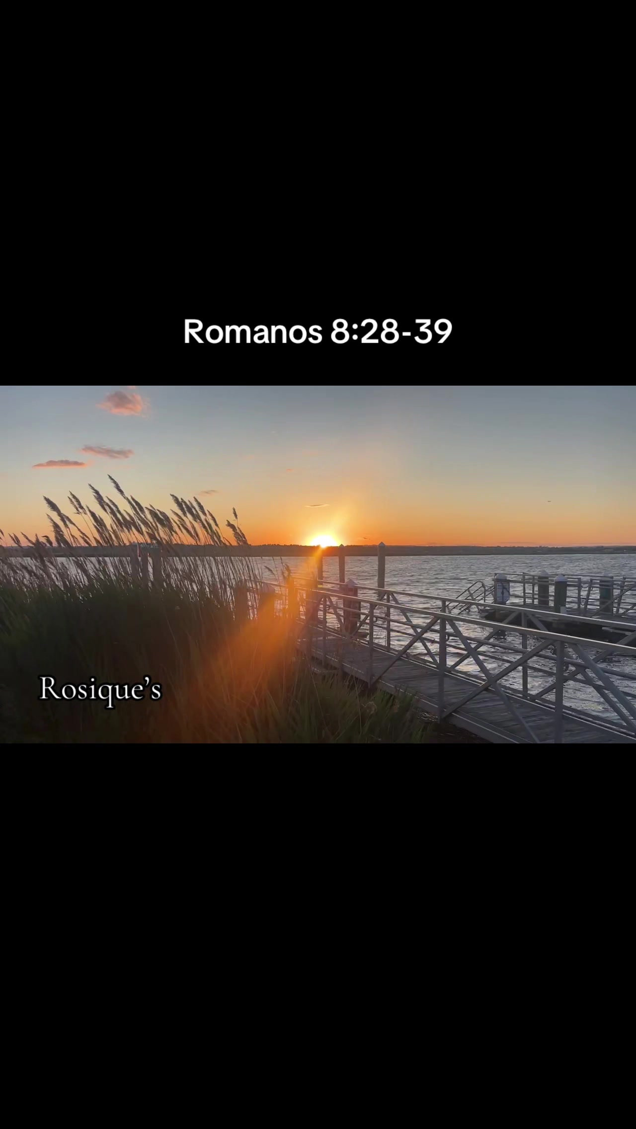 @Rosique NY