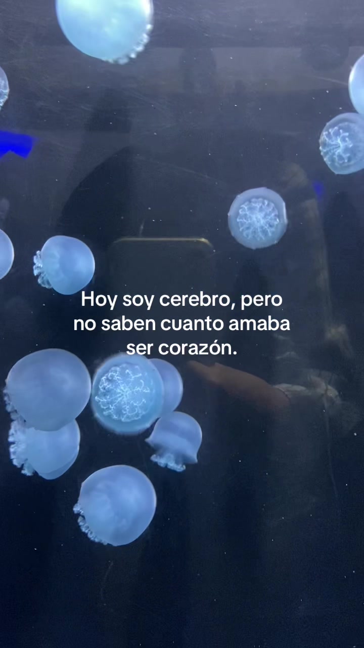 @𝓘𝓽𝔃𝓮𝓵 𝓖🦋