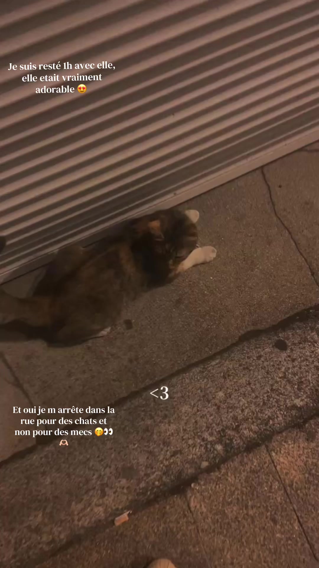@Miss été 🫧🌸🌴