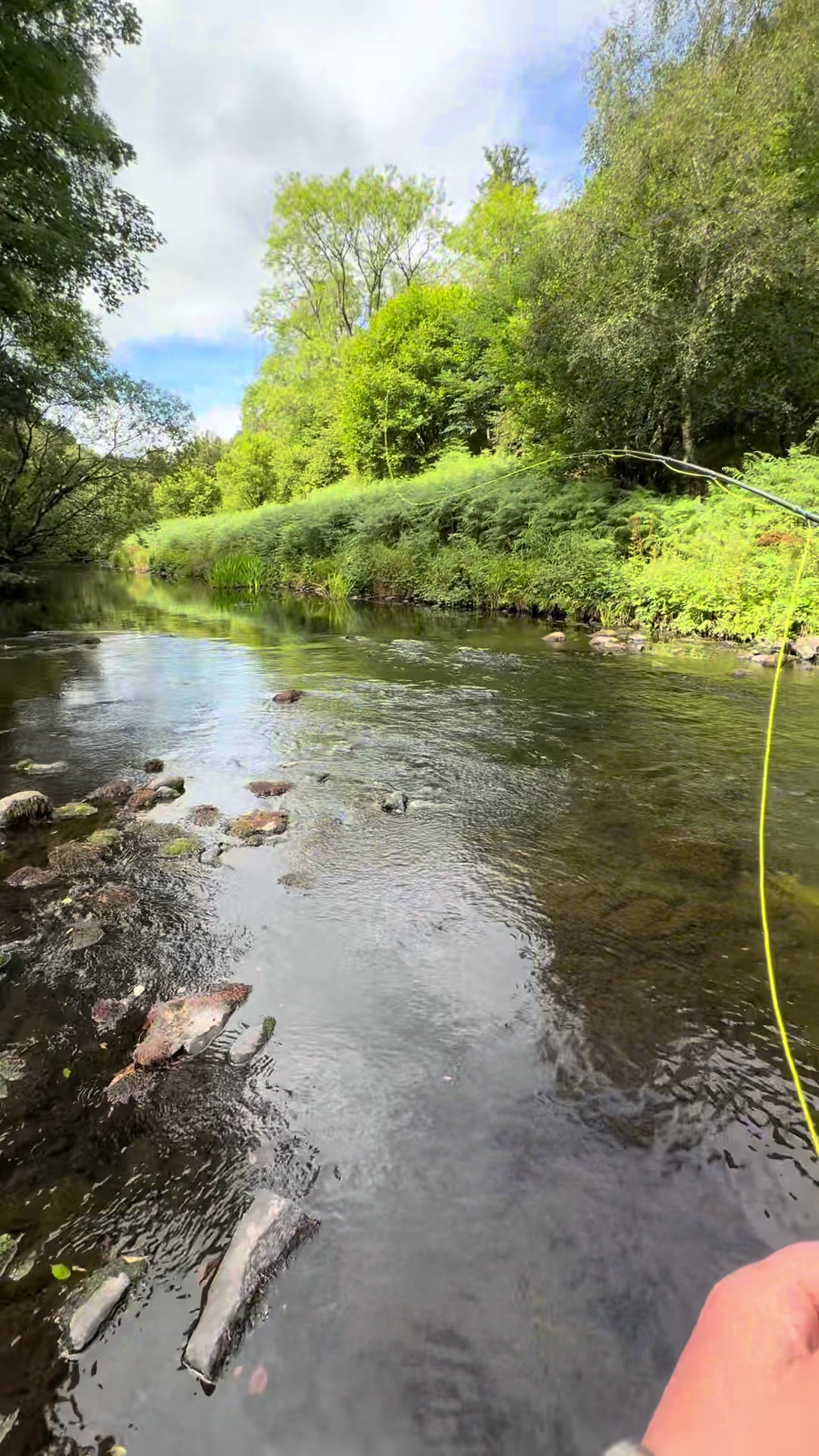 @Alba Trout 🏴