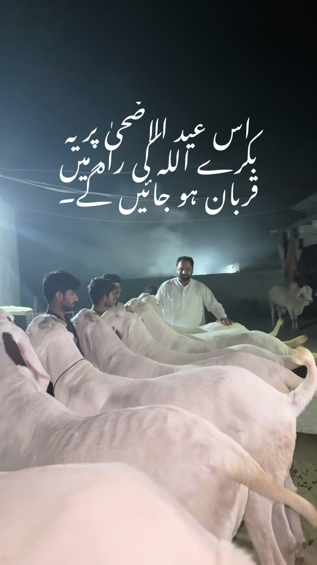 @Buraq waqar