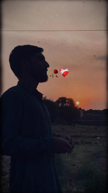 @alinawaz20898